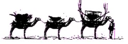 logo pic
